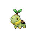 387 Turtwig icon